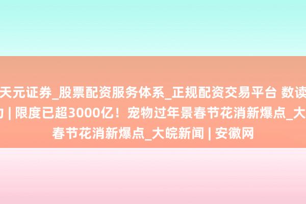 天元证券_股票配资服务体系_正规配资交易平台 数读中国开局新活力 | 限度已超3000亿!宠物过年景春节花消新爆点_大皖新闻 | 安徽网